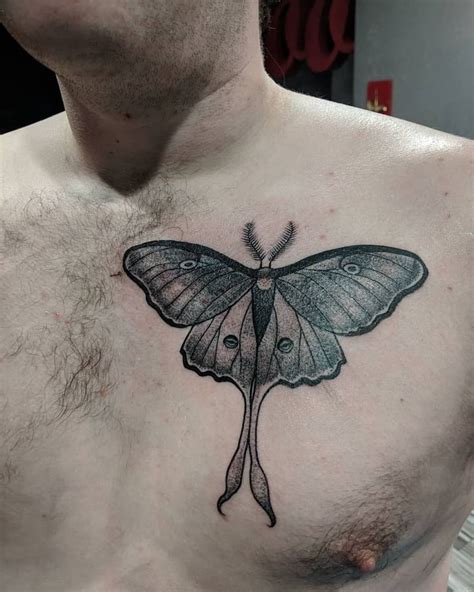 moth tattoo on chest|23 Moth Tattoo Meanings: Spiritual, By Body Location。